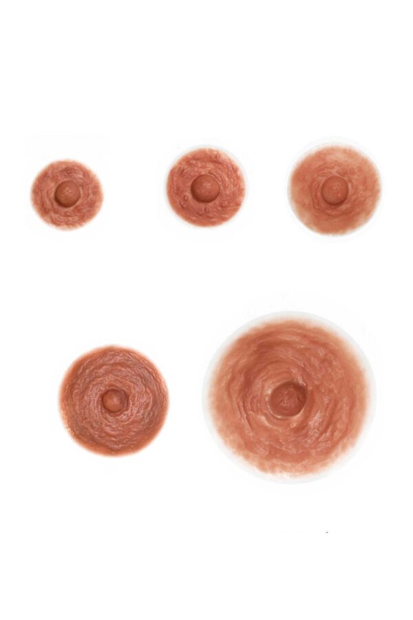 Divine Collection Nipple sizes